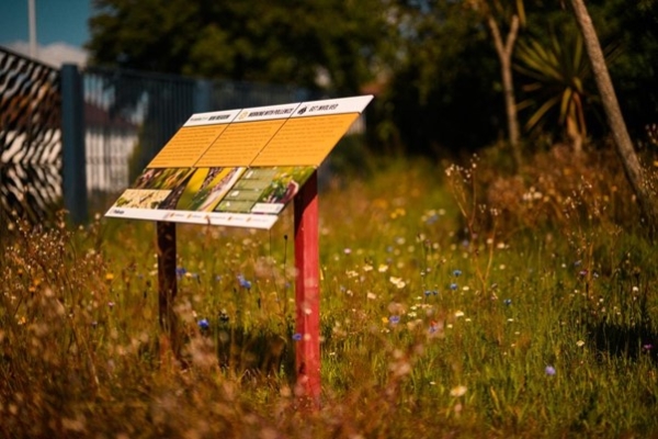 Enhancing Biodiversity at Scott Business Park: Floradex in Action